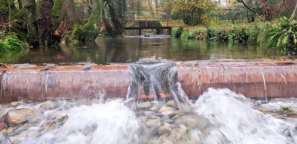 Blacky_Himself's tweet photo. Fish passage improvements ready for spawning time! @WessexRivers with @FiveRiversEC https://t.co/SWhQeDleCG