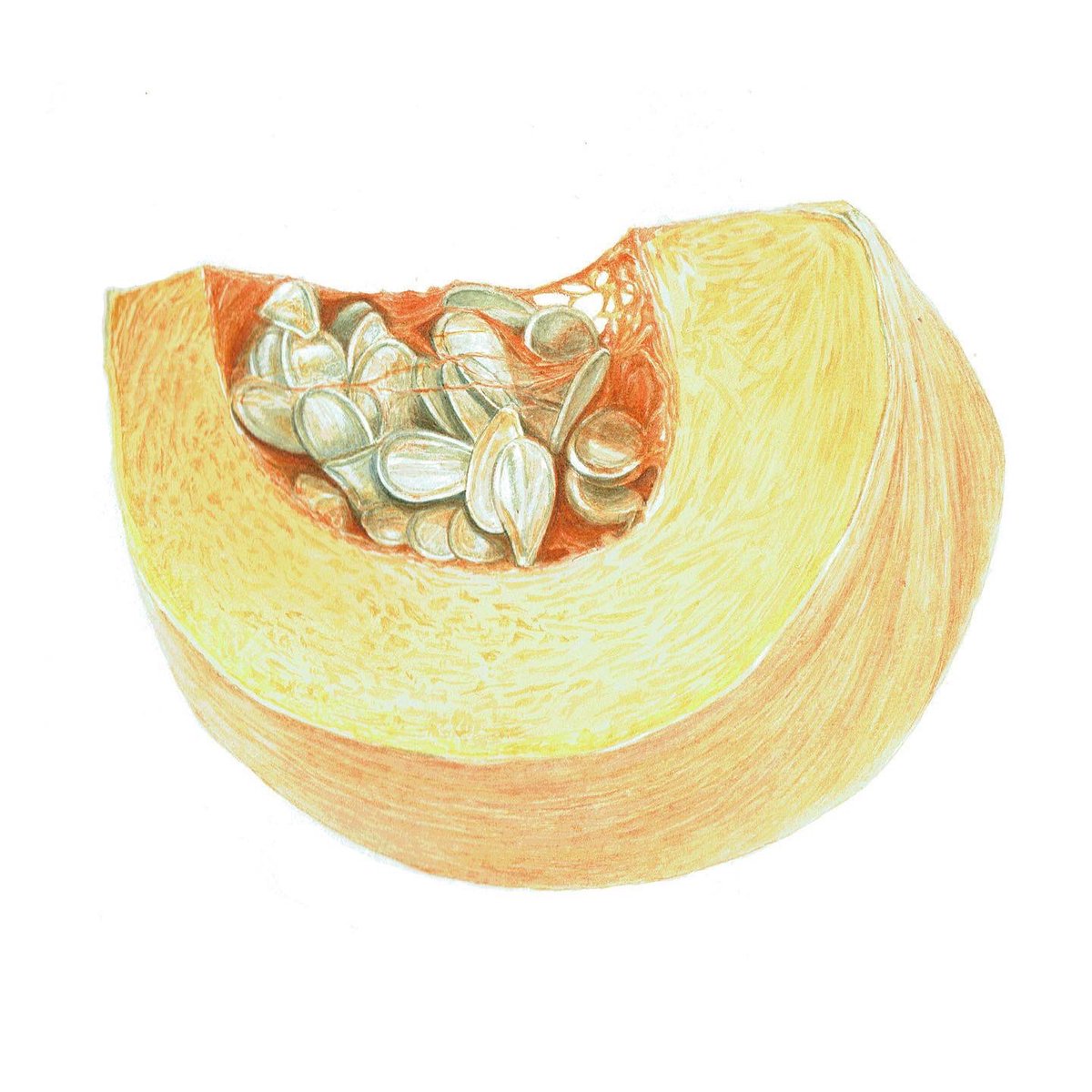 A giant slice of pumpkin featuring #lanzones for #colour_collective! #illustration #pumpkin #foodillustration #botanicalillustration <a href="/Clr_Collective/">Colour Collective</a>