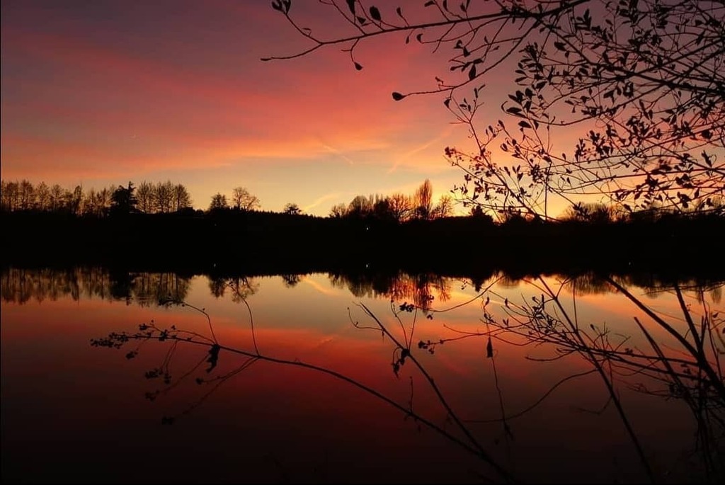 igersNiort's tweet photo. Bonsoir amis #igers, 
Merci @mariama2225 pour ce coucher de soleil sublime sur le lac des effres près de Secondigny et ce partage avec les tags  #deuxsevresdecouverte et/ou #deuxsevres
N'hésitez pas à aller voir son compte. 
•A bientôt pour une nouve… https://t.co/ETlwU4h7lN https://t.co/2m0O15bUxV