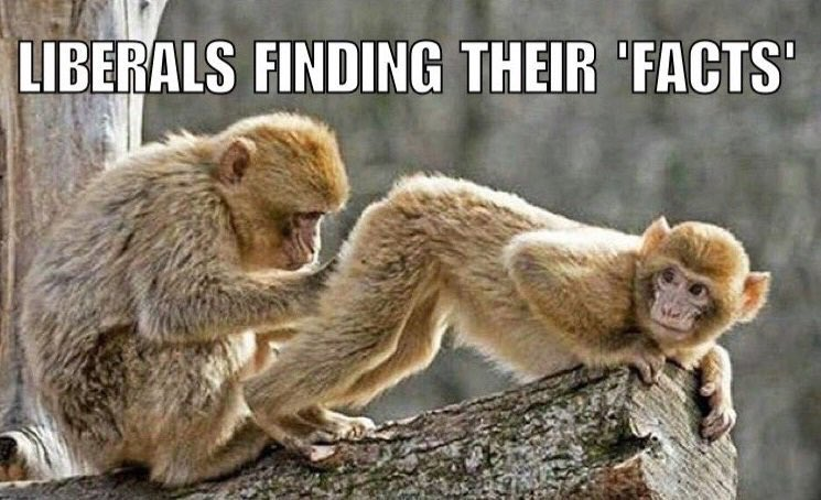 Stan_Fischer's tweet photo. @MalloneWalrus @Patriot2Nurse @Clark_Savage_JR @Tom330 @2feeltheheat @534f57494c4f0a @DFBHarvard @hiddeninmo @ThatGirl0070 @mspdcali @Csilla008 @Mod4USA2 @ChangeExchange2 @SamuelPaulWhit1 @Tamijoe5 @EdTarzanaCoin @starryskys81 @MeterologBecker @HP4USA @JustMe_12345 @sandstock @Trumpeteer14 @NurseNys @jcblount @GreyWolfRon @fookcu_f @PrezElectFungi @dave_dav05 @Dv81Grey @MikeThePlumbe10 @m4x05 @thisismymindy @Datagramma1 @Tom_Britt1 @JCPExpress 🤡#liberals🤯 ... they #knowShit💩and they can tell Ya all #theyKnow🤮🤢[if they not currently #burning🔥#rioting🥷#looting🥷#murdering💀making🇨🇳#commieRevolution☠️+🕵️#voterFraud🕵️to steal the #election &amp; Make🇺🇸#USA🦅+#allWorld🌎🌍🌏in to⛓️#Commie🇰🇵#Gulag⛓️]‼️ https://t.co/ciErHytzN3