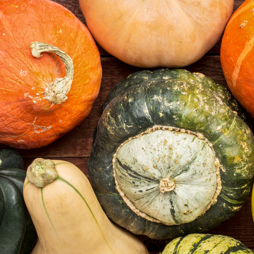 ProducePerks's tweet photo. It’s squash season! Delicata, acorn, butternut -- which is your favorite? Our friends at @countrysideohio put together this great guide to all things squash: https://t.co/ngaPQZrjax
#ProducePerks #eatlocalohio #youSNAPweMatch #snap #PEBT https://t.co/sAEvUV7TIJ