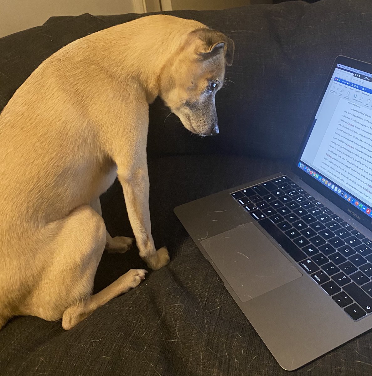 Mark Pendleton tweet media