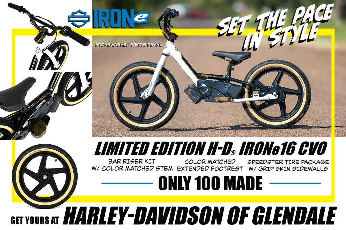 Set The Pace In Style with the Limited Edition H-D IRONe16 CVO! Only 1 Available here @glendaleharley for a lucky Future Ripper! 
#gearup #letsride #glendaleharley @ridestacyc #stacyc #electricbicycle #EV