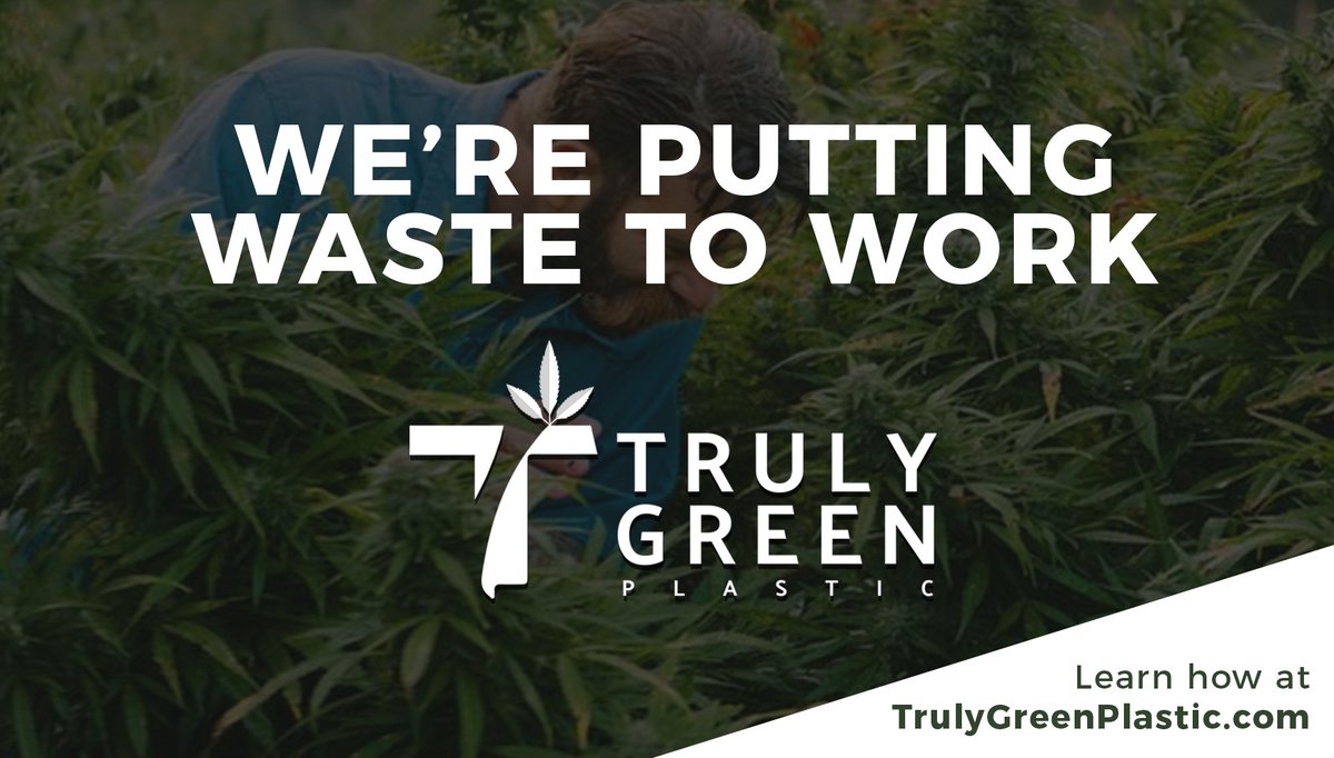 TGPlastic's tweet photo. At #TGP, we’re putting cannabis waste to work, using it to create a cost-effective, more environmentally-friendly bioplastic.

#CannabisNews #BioPolymer #Sustantibility #CannabisEducation #GreenPlanet #PlasticFree #EndPlasticPollution #PlasticWaste #PlasticFreeOceans https://t.co/GNcFfH1oY5