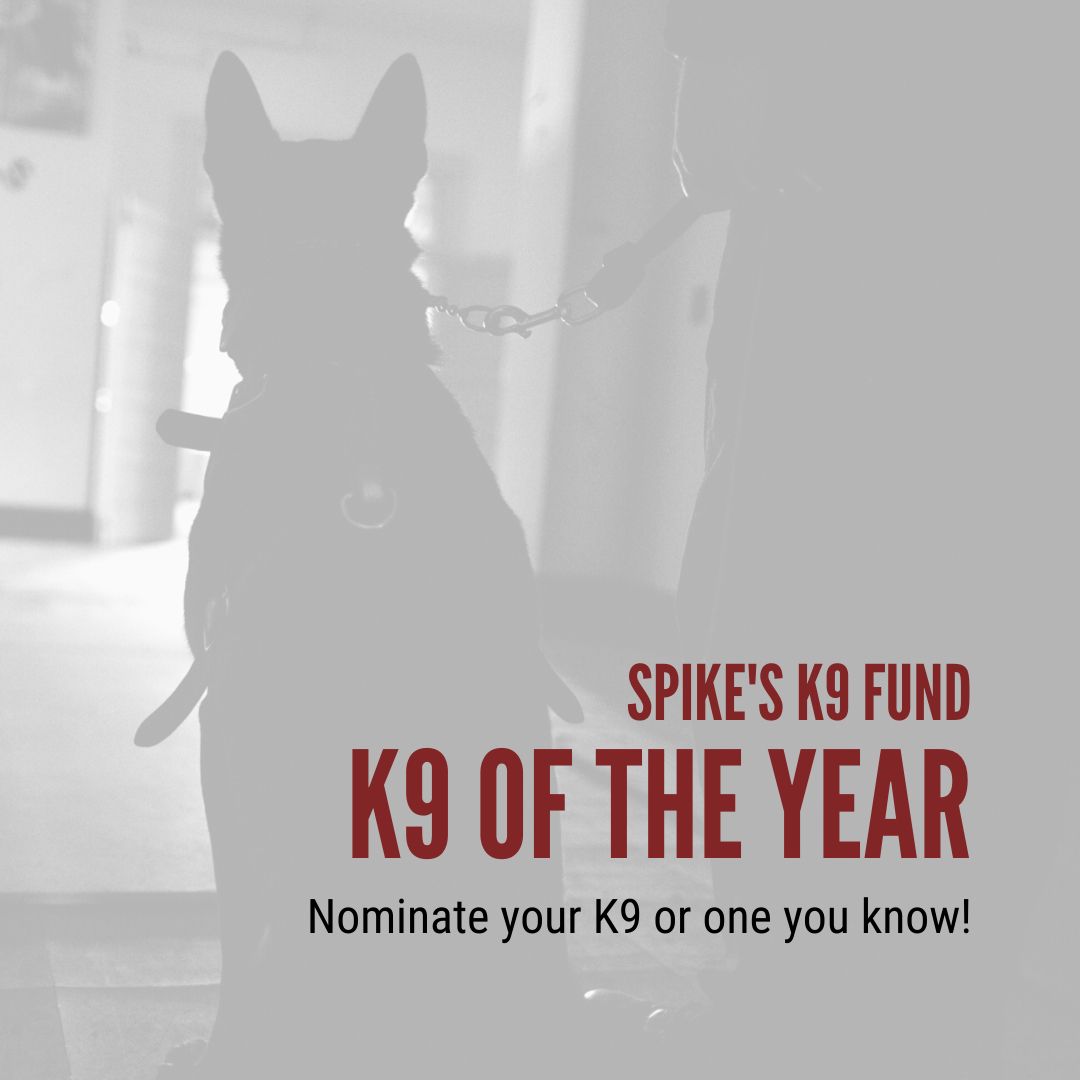 spikes k9