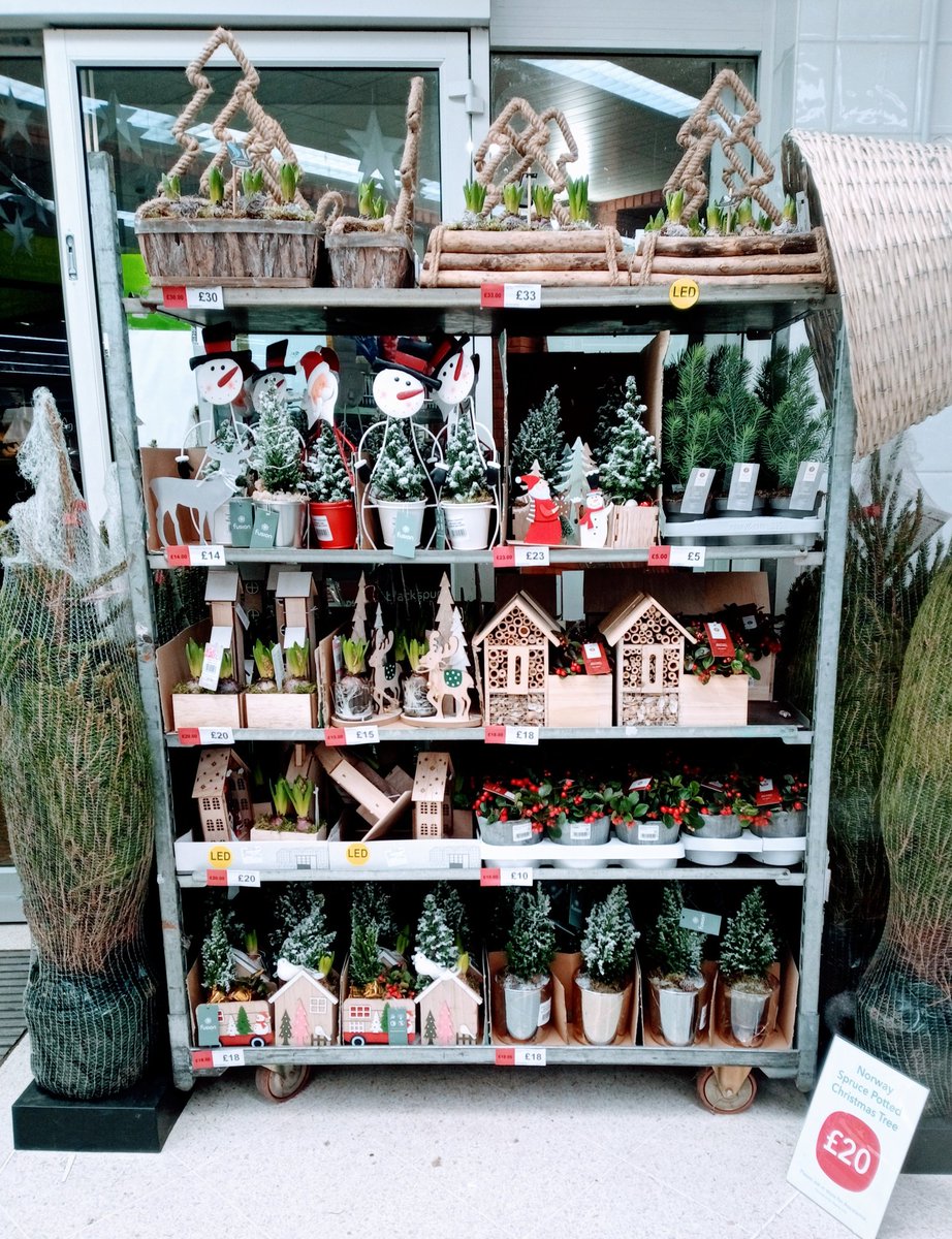 ToniMarie2332's tweet photo. Our beautiful rustic Christmas Decorations have arrived in our Anstey Store 🎄 @angxlirl @AnitaGi25966379 @emlou_owen @jasontomkins1 @MattSaunt40 @Michell41880148 @CJWright_85 @PaulalanDennis https://t.co/ALHUWRHZ2P