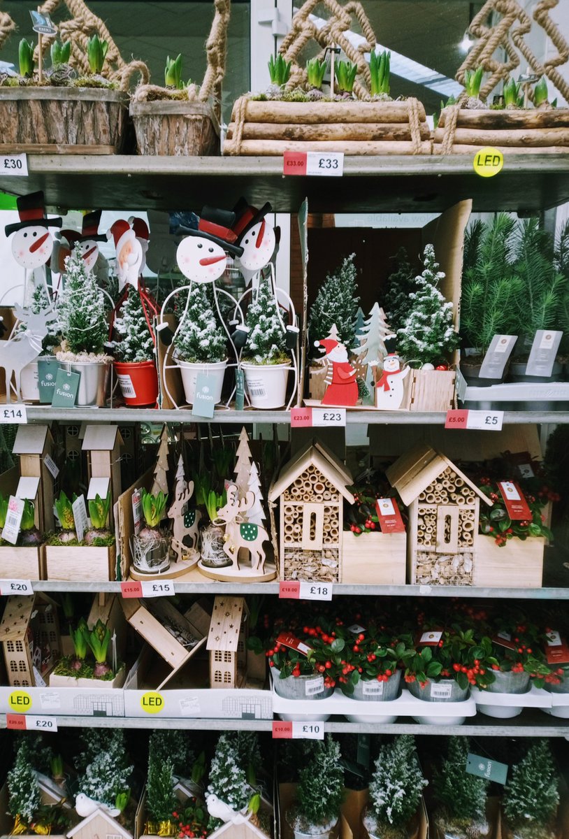 ToniMarie2332's tweet photo. Our beautiful rustic Christmas Decorations have arrived in our Anstey Store 🎄 @angxlirl @AnitaGi25966379 @emlou_owen @jasontomkins1 @MattSaunt40 @Michell41880148 @CJWright_85 @PaulalanDennis https://t.co/ALHUWRHZ2P