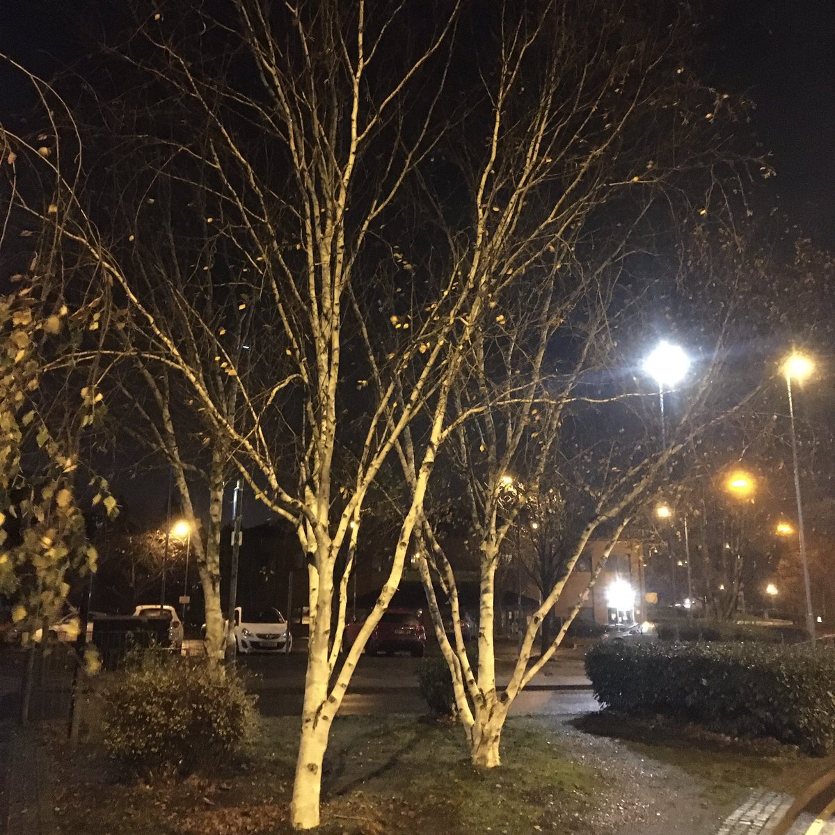MindfulRflctins's tweet photo. #WalkWithTom #EveningWalk #MindfulMoments #MindfulReflections
A lovely evening walk looking for reflections...it was a beautiful stroll and refreshed the soul.
Have a good weekend everyone. #TomorrowWillBeABetterDay #HappyWeekend #BeKind https://t.co/Z86YEqW1J6
