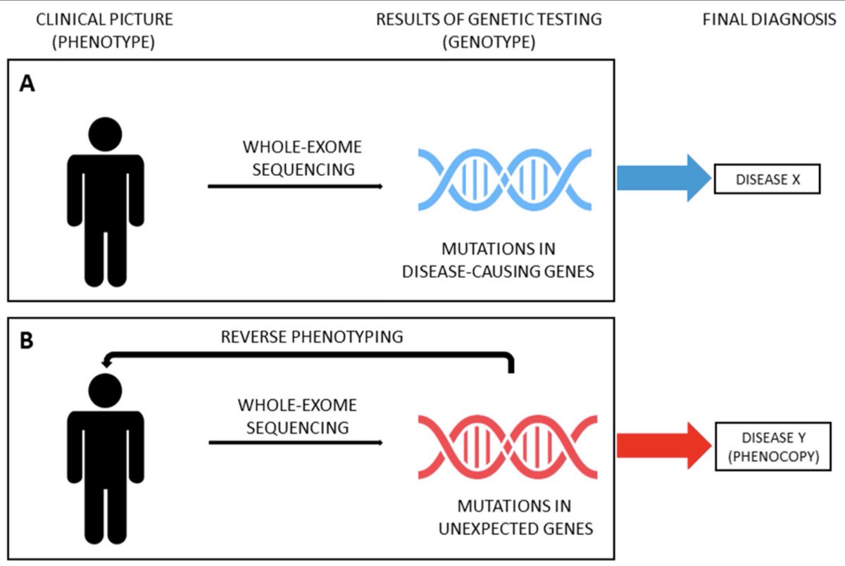 Francesca Becherucci (@francescabeche) on Twitter photo I'am delighted to share our new review on phenocopies in steroid-resistant nephrotic syndrome, now out in <a href="/IJERPH_MDPI/">IJERPH</a>. The genetic landscape of SRNS is strikingly changing mdpi.com/1660-4601/17/2… <a href="/PRomagnani/">Paola Romagnani</a> <a href="/samuela_land/">Samuela Landini</a> <a href="/fondazionemeyer/">Fondazione Meyer</a> @MeyerScienza <a href="/SinReni/">SinReni</a> I'am delighted to share our new review on phenocopies in steroid-resistant nephrotic syndrome, now out in <a href="/IJERPH_MDPI/">IJERPH</a>. The genetic landscape of SRNS is strikingly changing mdpi.com/1660-4601/17/2… <a href="/PRomagnani/">Paola Romagnani</a> <a href="/samuela_land/">Samuela Landini</a> <a href="/fondazionemeyer/">Fondazione Meyer</a> @MeyerScienza <a href="/SinReni/">SinReni</a>