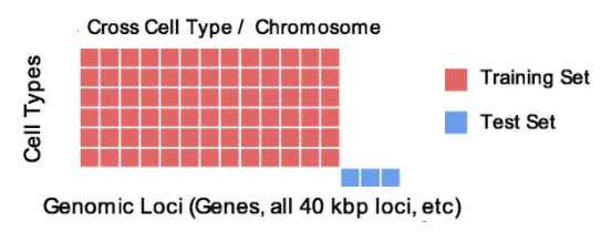 As an aside, there is a third setting, which we call the "hybrid" setting, which is both cross-celltype and cross-chromosome. This setting can be useful when generalization to new sequence is important, such as for a model that can generalize across species. 4/