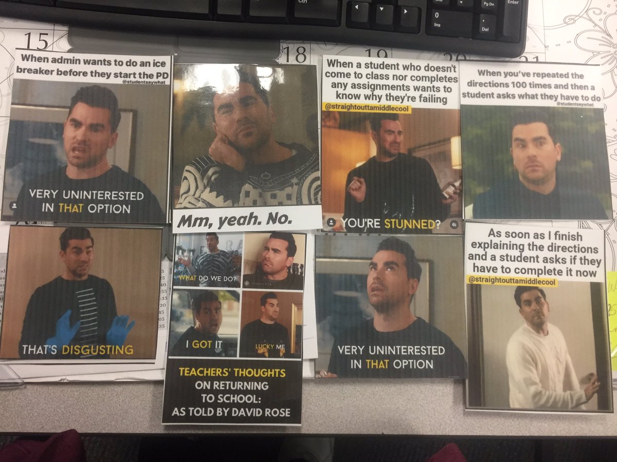sking0527's tweet photo. @danjlevy This is what gets us teachers through 7 hours on Zoom each day. What would David say? https://t.co/tBHJeQ9cSn