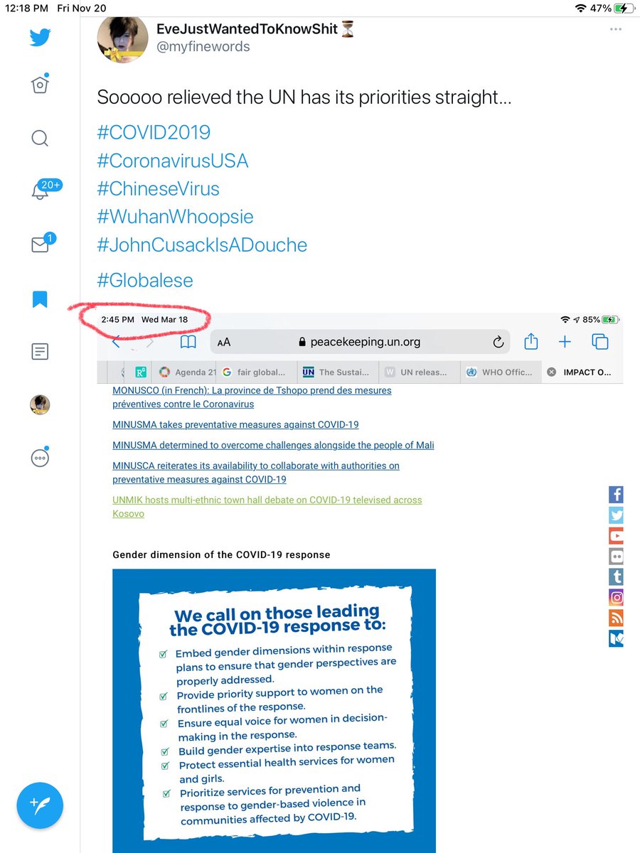 The United Nations wasted no time linking COVID to their 17 Sustainable Development Goals.The writing was on the wall...