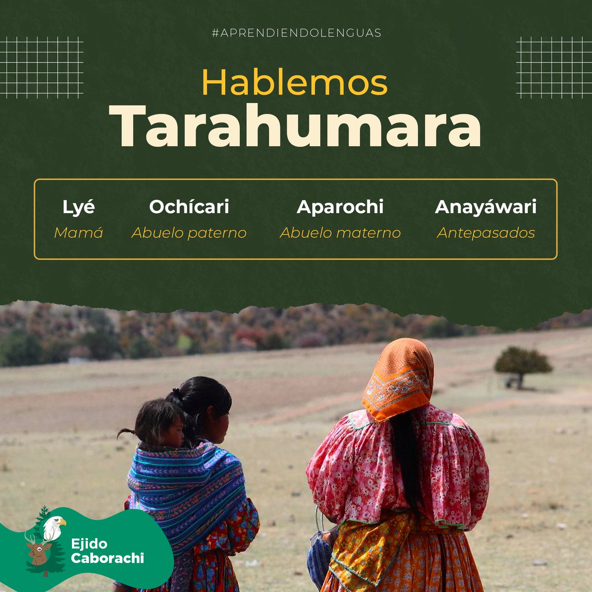 ejidocaborachi's tweet photo. Los saberes indígenas son conocimientos que los raramuris han construido a lo largo de sus vidas y que impactan en nuestra cultura, por estas razones compartimos esta publicaciones y juntos estamos #AprendiendoLenguas #FelizViernes https://t.co/PnnpY0FcLb