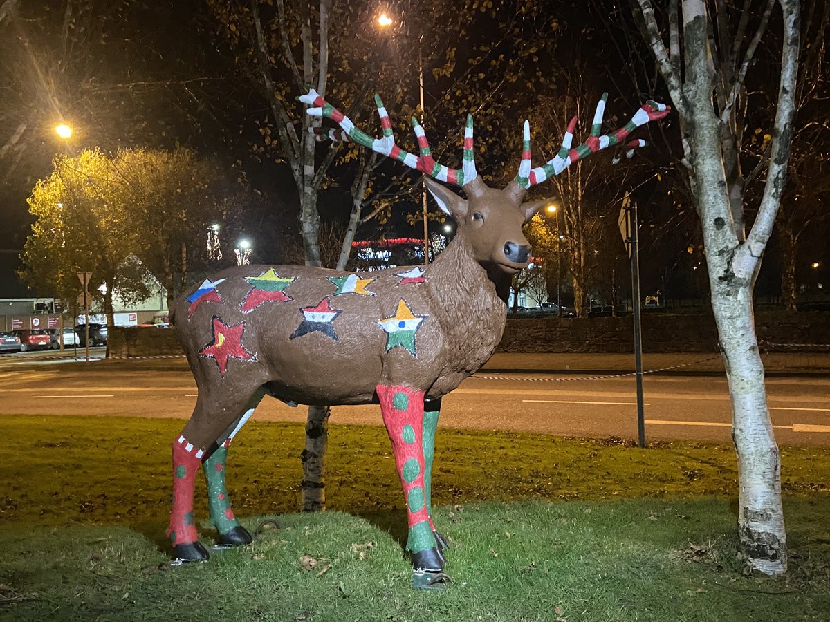 EtnsMidleton's tweet photo. Who is this handsome fella? π#midletonchristmaslights #midleton #midletonchamber #eastcork https://t.co/pElGUCJOYN