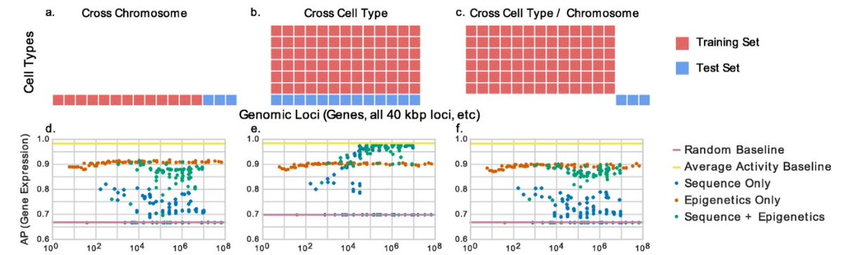 To demonstrate the practical differences in these settings, we trained CNNs/DNNs of increasing complexity to predict gene expression. We observed very different results in the cross cell type setting!