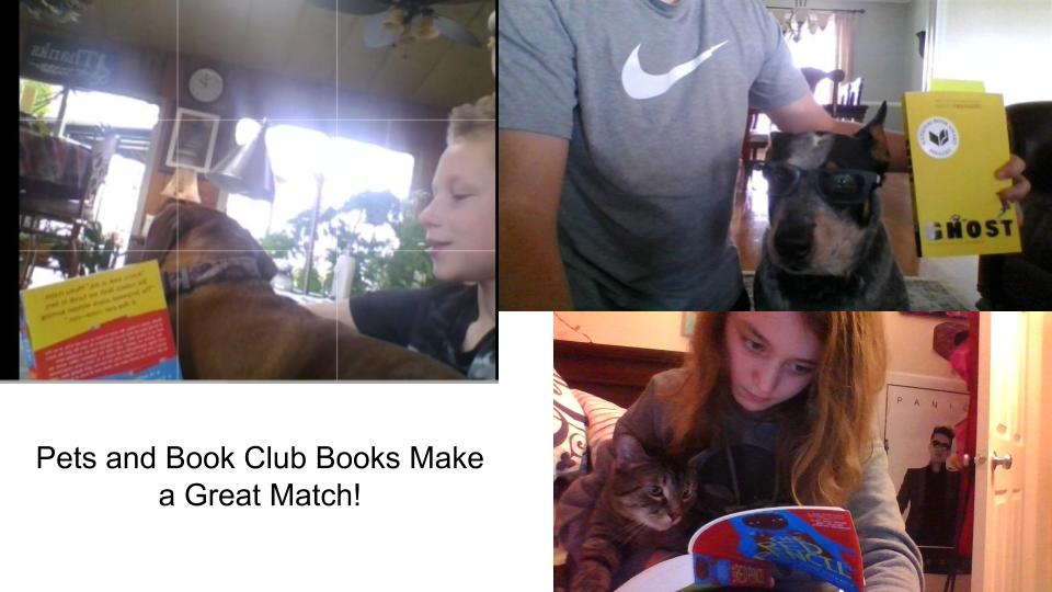 MCM6thGrade's tweet photo. Gray team showing off their pets and book club books! @mcmspartans https://t.co/XSwj7UYiIq