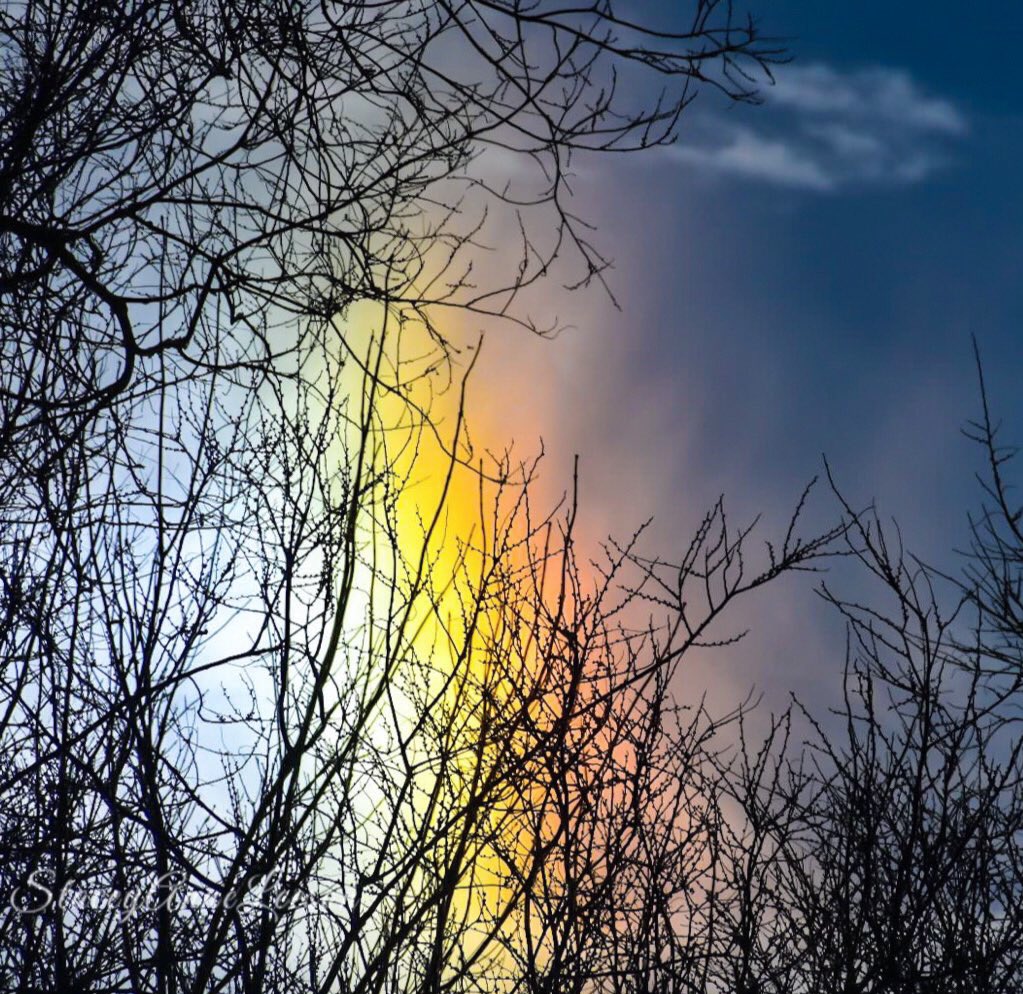 StaceyALee's tweet photo. Well that was completely fabulous while it lasted.☀️❄️🌈
#wmiwx #miwx @StormHour #frommybackyard #FridayVibes https://t.co/toOZ1uSIlm