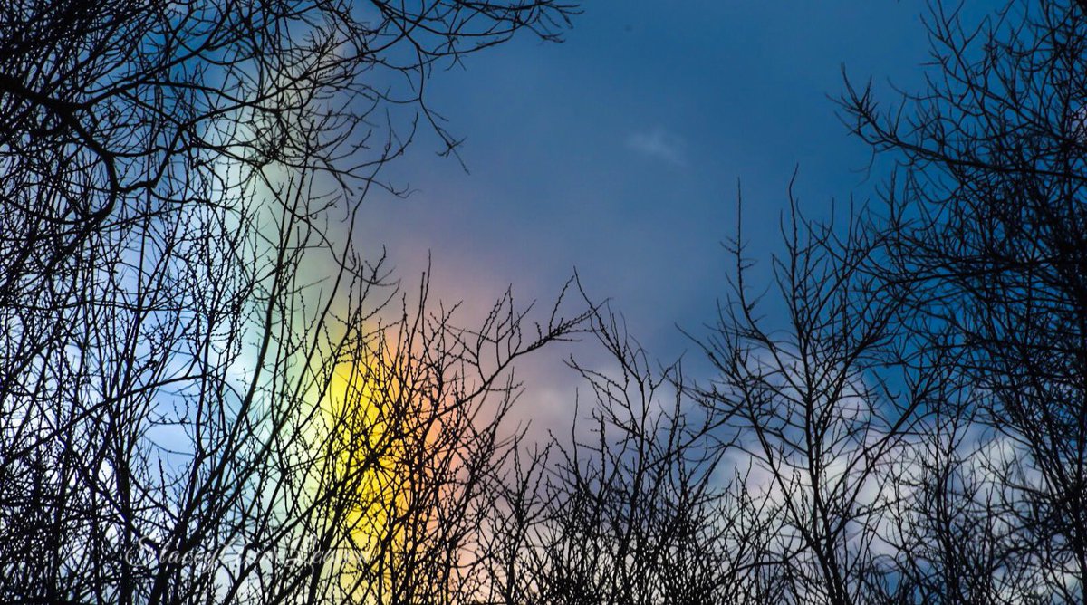 StaceyALee's tweet photo. Well that was completely fabulous while it lasted.☀️❄️🌈
#wmiwx #miwx @StormHour #frommybackyard #FridayVibes https://t.co/toOZ1uSIlm