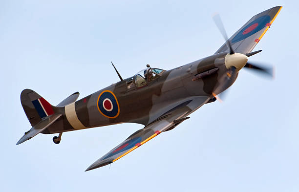 Tonell1's tweet photo. Which World War 11 Fighter Aircraft Was The Best. Go to https://t.co/SCwWdi3GeF Select the "Survey" Button On The Menu. Scroll Down To "Which Is The Best" And Vote! https://t.co/UlCYclaHes