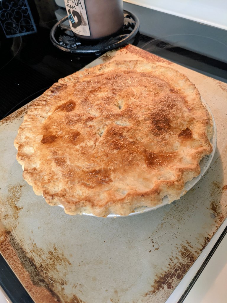 fcseteach's tweet image. Two Crust pie! Pie day! Homemade apple pie filling.
#sayyestofcs #Thanksgiving #gshs