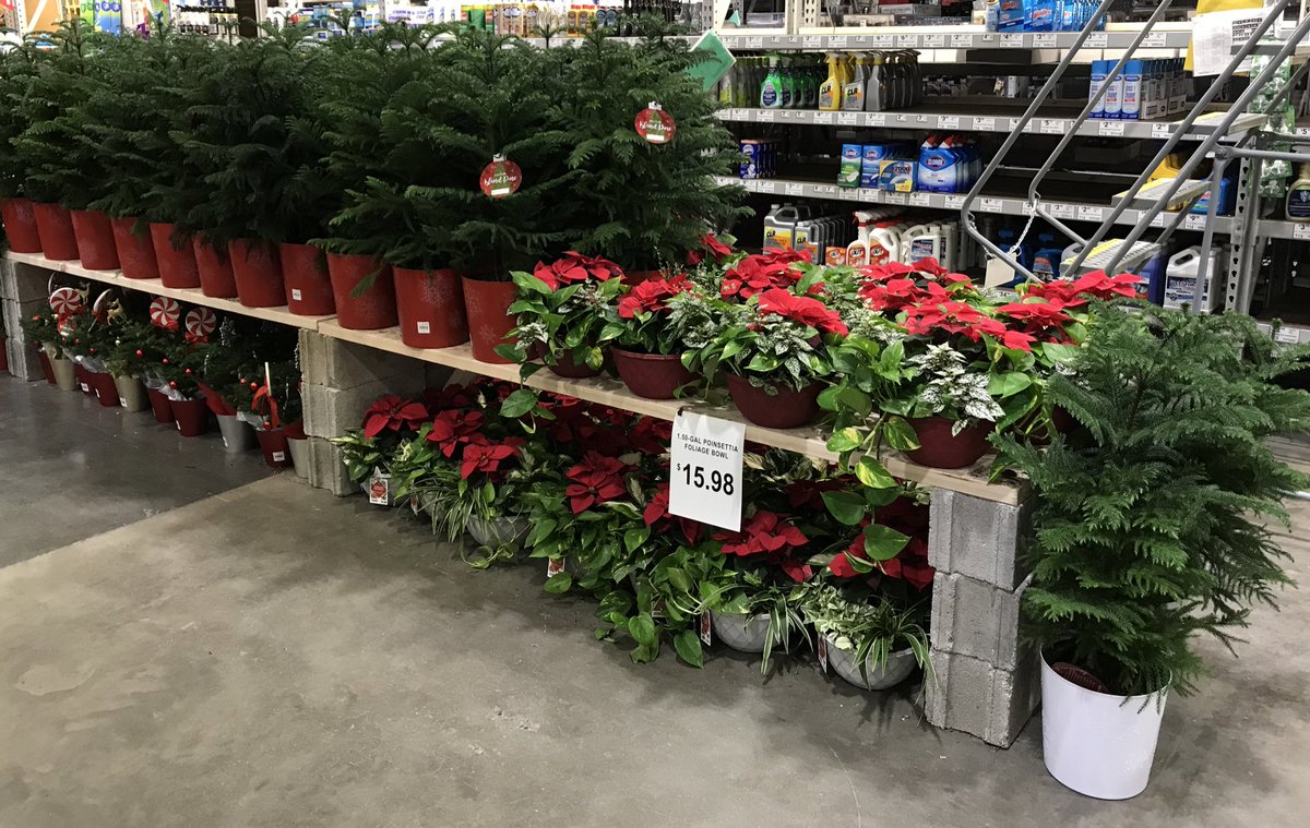 Beautiful #mixedplanters #xmasdecor #wreaths #tabletoptrees #pinecones and much more is @lowesOfHamiltonNJ 1046! Have fun and snap a #familypic while you’re there! 🎄1046 ty for the #partnership! @church1230md @FrancGambatese @PlantPartners @MetrolinaGHS @DomFeola