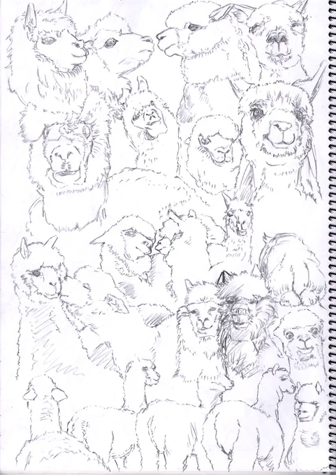 朝イチdrawing 