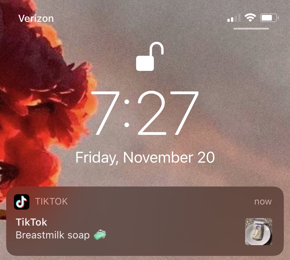 hipstererin's tweet photo. Maybe we should’ve banned TikTok tbh https://t.co/ygh0uGm6Bd