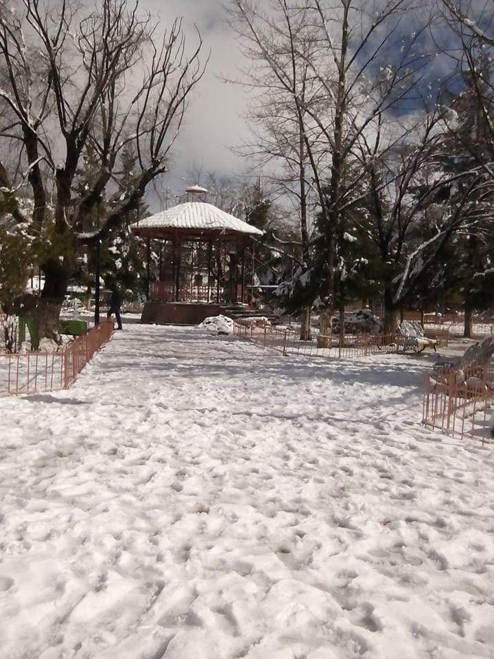 MexicoEnRuta's tweet photo. Ya se acerca la temporada de frío en la Sierra de Creel, #Chihuahua. 

📷 Estrada Carrasco https://t.co/wmd8cP6R4J