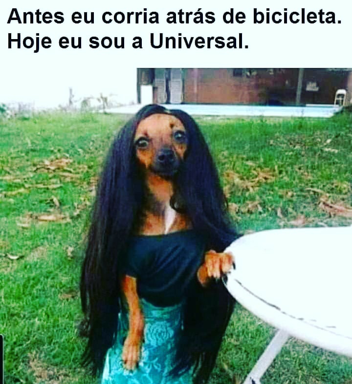 pequenagardenal's tweet image. 