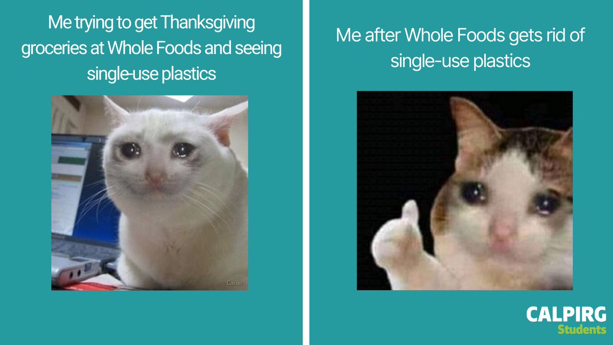 idk about you but I want a #plasticfree shopping cart this Thanksgiving. unnecessary plastics we use for 5 minutes shouldn’t pollute our environment for 100s of years. let’s eliminate single-use plastics @WholeFoods !! #PlanetOverPlastic