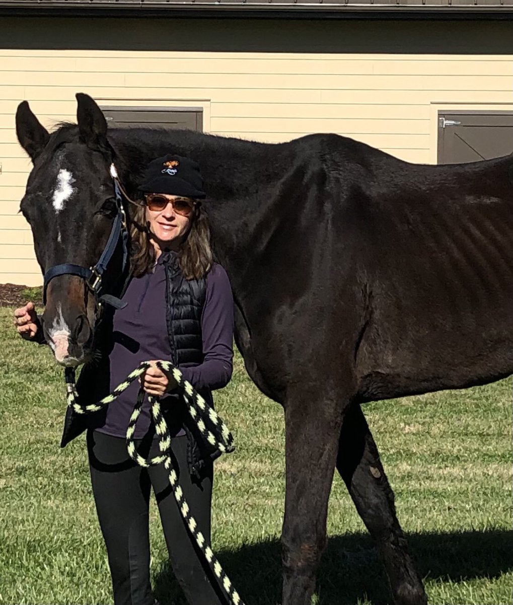 kimburton12's tweet photo. My heart is broken - today we lost my Grimaldi- 30 yrs old &amp; fought cancer as long as he could - He taught me so much- he was the most gentle, sweet soul but had the competitive ❤️of a tiger I’ll miss you everyday buddy 💔 https://t.co/FE1IpV0rh2