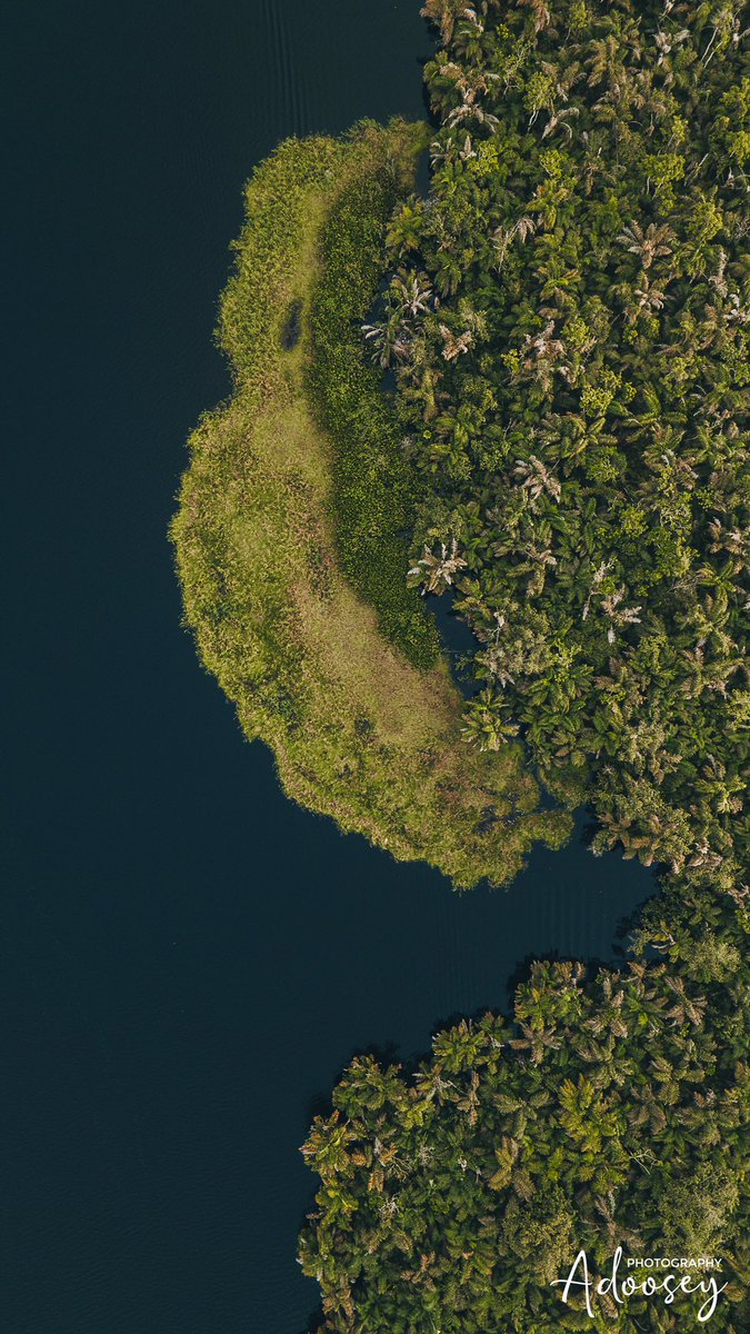 jdadoosey's tweet photo. Drone shots from my recent trip to Nzulezu

Kindly RT🥺🙏🏿
#shotbyadoosey https://t.co/i2VMnaCav4