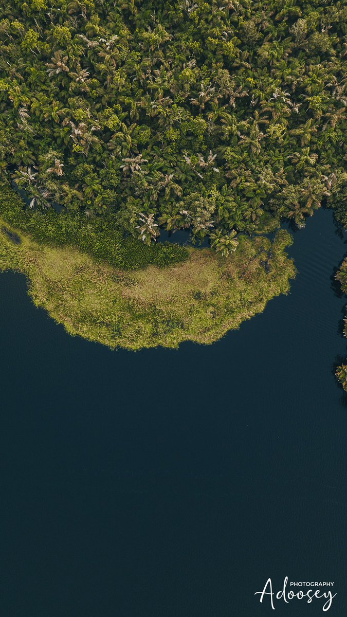 jdadoosey's tweet photo. Drone shots from my recent trip to Nzulezu

Kindly RT🥺🙏🏿
#shotbyadoosey https://t.co/i2VMnaCav4