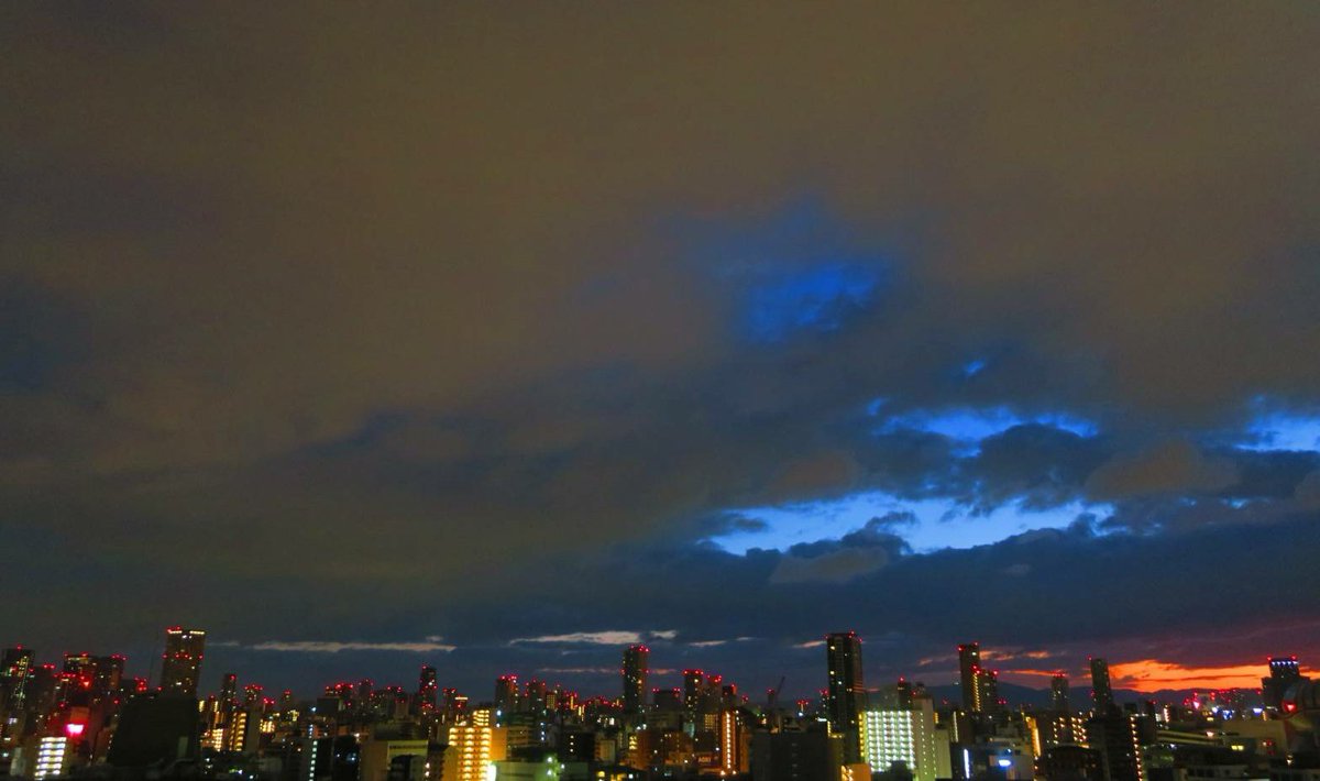 散り紅葉 Twitter Search