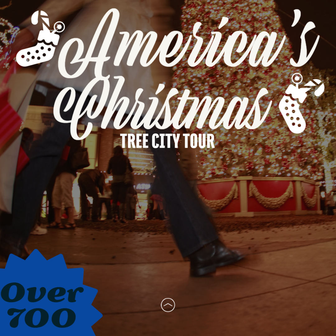 bransonshows's tweet photo. Did you know there are over 700 Christmas trees to view in Branson during the Holiday season? They are all part of America's Christmas Tree City Tour. What a perfect time of year to visit. We are here when you are ready to travel. https://t.co/h8H37HBCqB