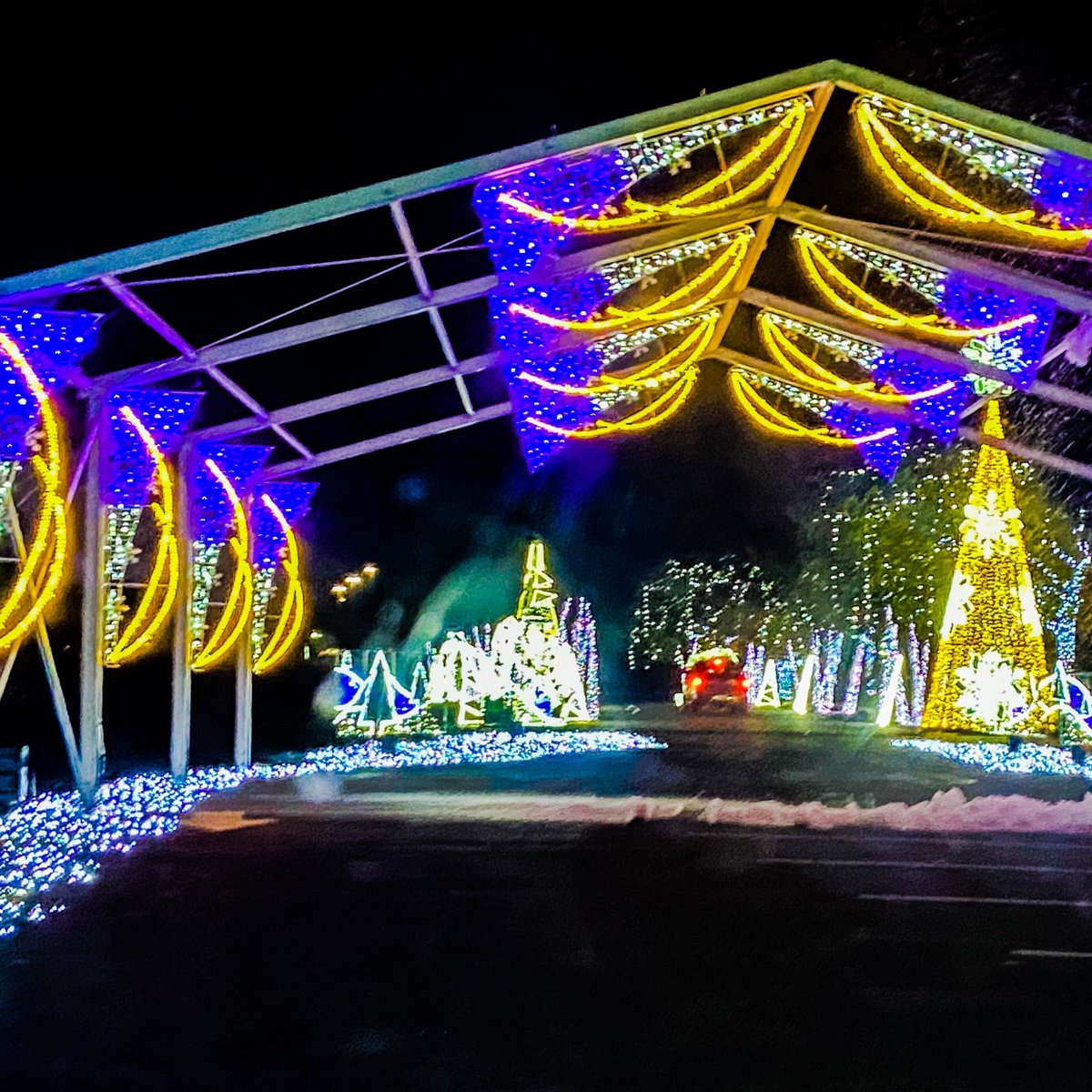 illuminightsa's tweet photo. illumiNight is OPEN, and we are ready to provide you with San Antonio's newest holiday experience. ✨

Download our app, available on Apple and Google Play, or visit https://t.co/IKL490cQHc to purchase your tickets! 🎄 #illumiNightSA https://t.co/T6gxLuf4Vt