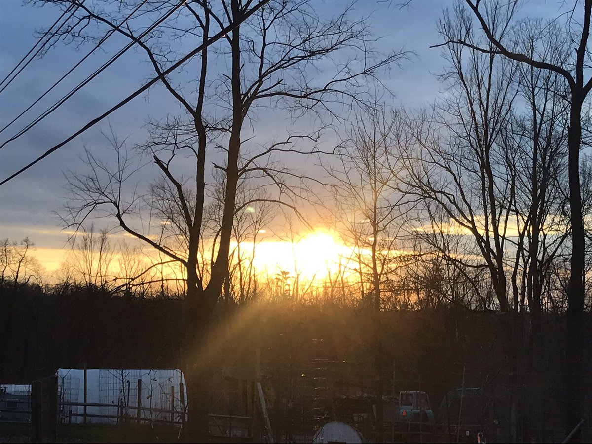 LisaAshbaugh55's tweet photo. Another week ending 🌅 #TGIF https://t.co/v3v4zW1Kqq