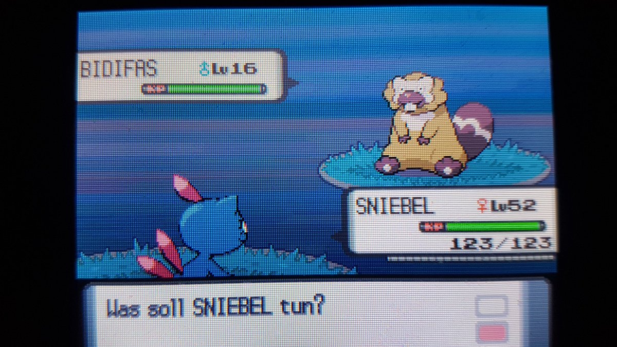 Felixavi2's tweet photo. @TheSakatiS random shiny bidifas auf der Suche nach chaneira für ein Glücks Ei https://t.co/OnMXs3qRTZ