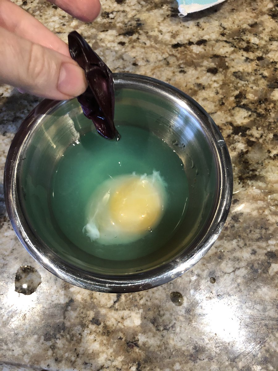 AlexanderQEB's tweet photo. 8A took to the kitchen today! After watching eggs go through the process of osmosis, we decided to dive in a little deeper. #virtualwin @HPE_VSchool https://t.co/mIbwu9zoqm