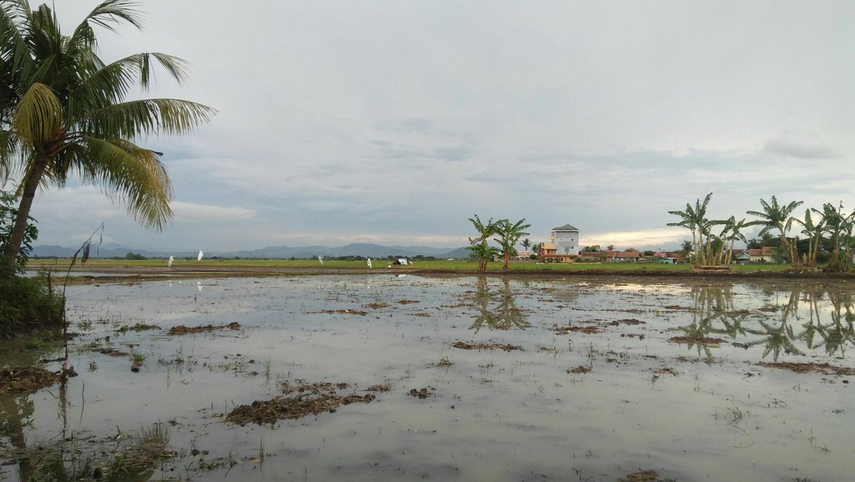 masbonteng12's tweet photo. Musim tanam telah tiba... Goo petani indonesia https://t.co/hCpLyApEkg