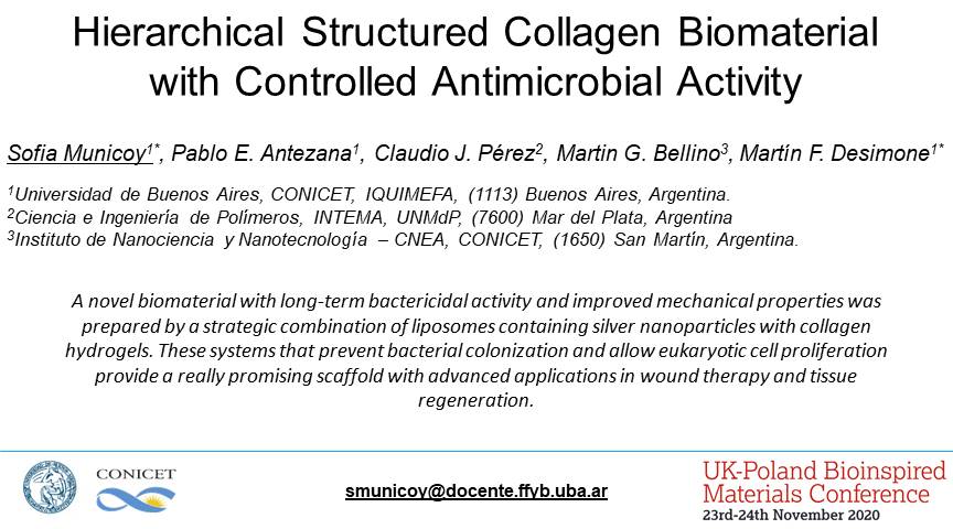 MunicoySofia's tweet photo. Check out my poster on bioinspired materials for
@UKPLBionspired conference.
#UKPLBioinspired #bioinspired #materials #OnlinePosterSession
@CONICETDialoga 
@FFyB_UBA https://t.co/p0bUvErUgy