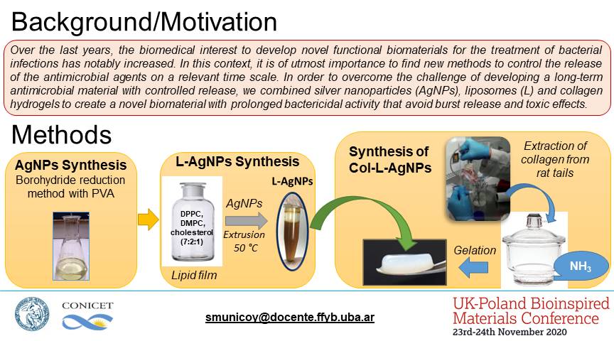 MunicoySofia's tweet photo. Check out my poster on bioinspired materials for
@UKPLBionspired conference.
#UKPLBioinspired #bioinspired #materials #OnlinePosterSession
@CONICETDialoga 
@FFyB_UBA https://t.co/p0bUvErUgy
