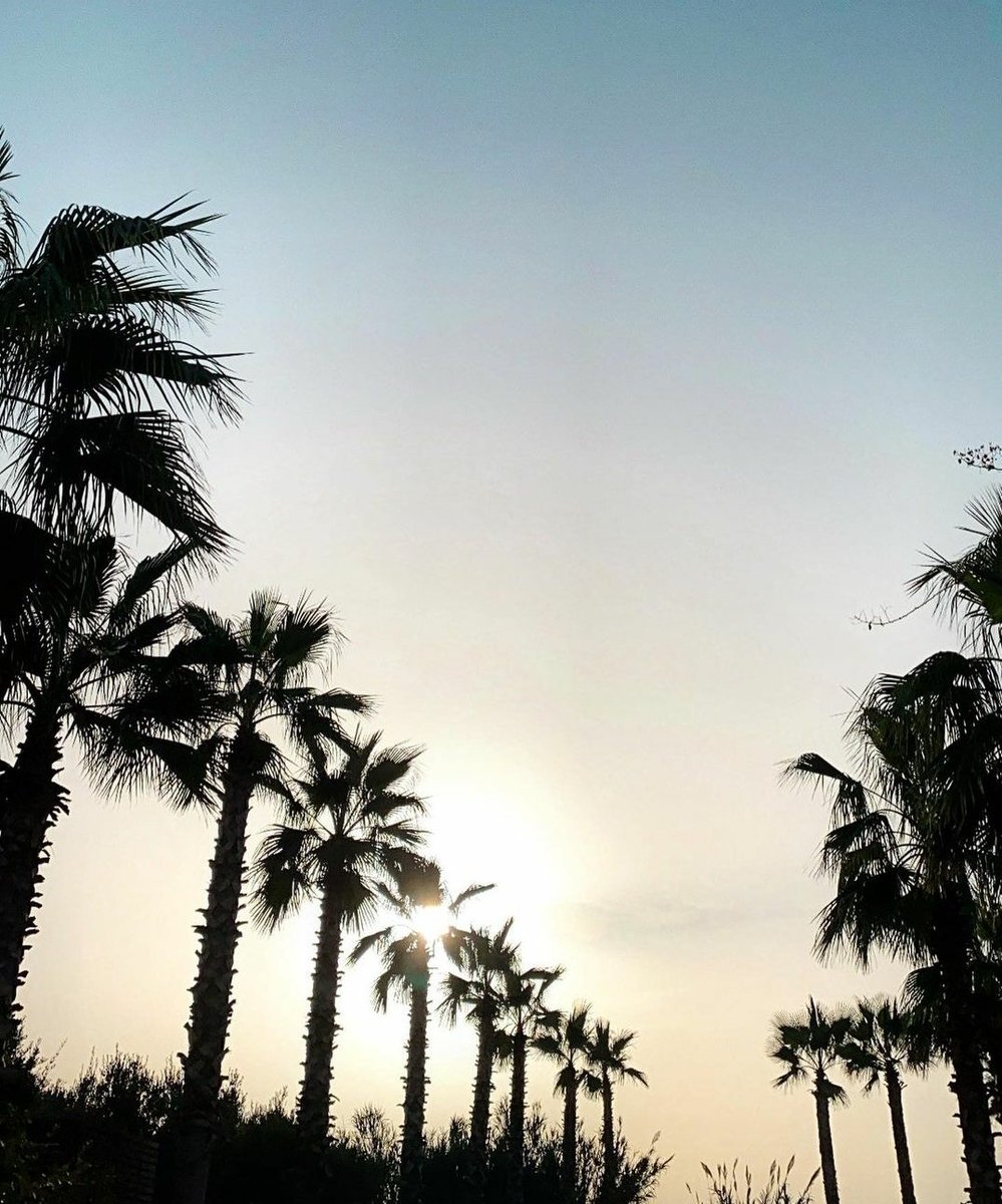 No shirt, No shoes, No Problem