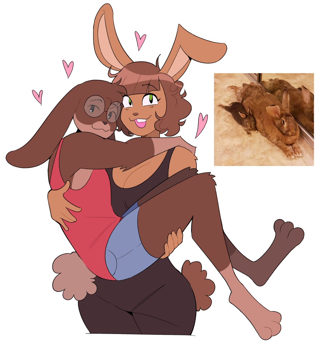 Idolomantises's tweet photo. dwarf bunny and his big bunny gf https://t.co/wp7DK2SBzF