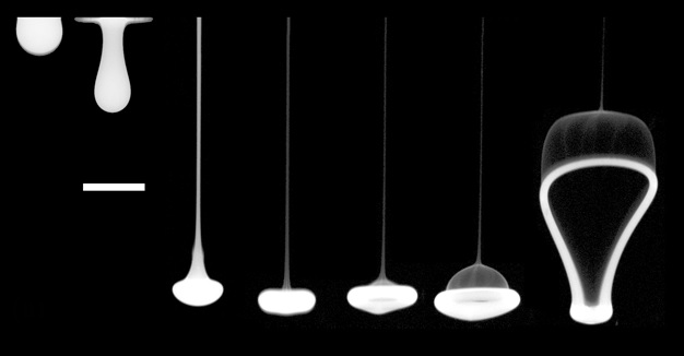 DivouxLab's tweet image. Attending the #apsdfd2020 meeting next week? Do not miss Afzal&apos;s presentation on &quot;Suppression of #drop breakup in a #viscoelastic bath!&quot; meetings.aps.org/Meeting/DFD20/… cc @CNRS @INP_CNRS @MITMechE  @APSMeetings #apsdfd ...Check out his drop dynamics code here: github.com/mashadab/drop-…