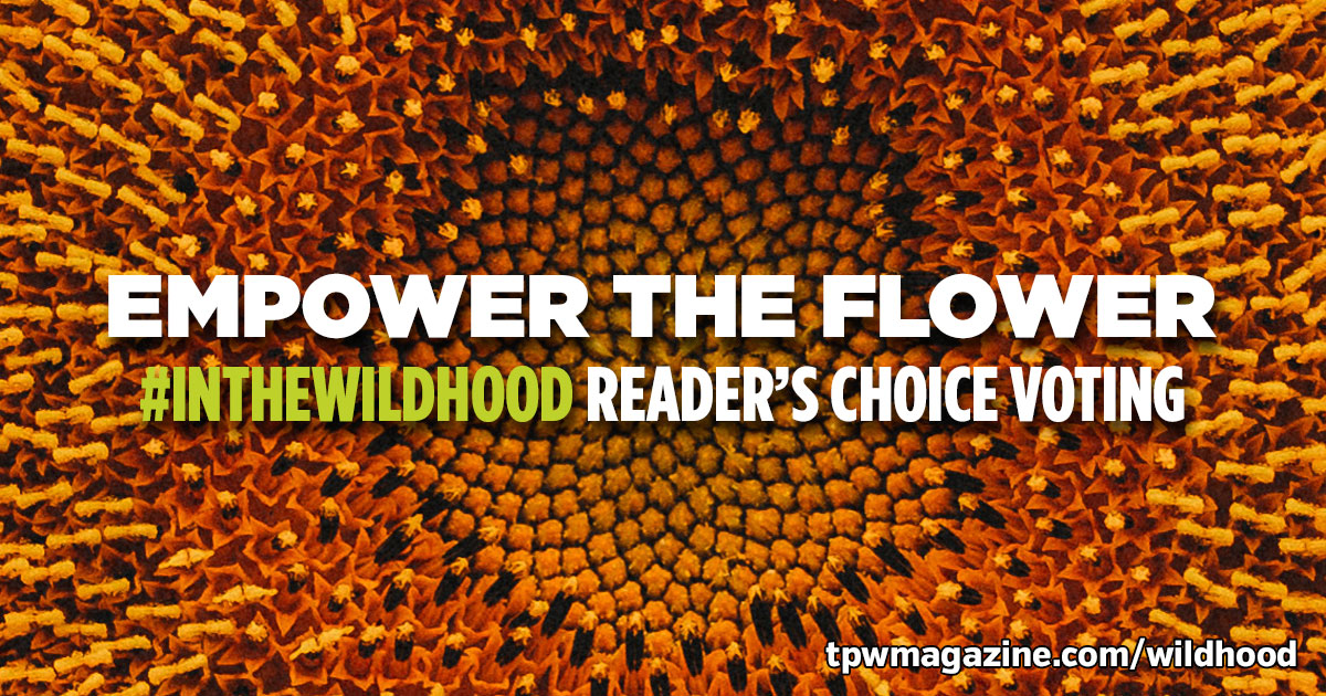 tpwmagazine.com/wildhood
Vote once a day on your favorite of 9 finalist in the Readers' Choice Award for the #InTheWildhood photo contest from this summer.  Click on link above and share the URL with friends to vote (no need for FB account).