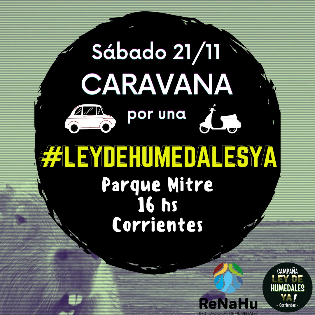 Humedalesctes's tweet photo. #LeyDeHumedalesYa https://t.co/5H01A18YdW