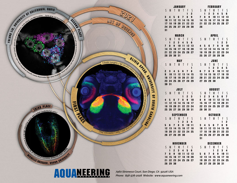 Aquaneering tweet media