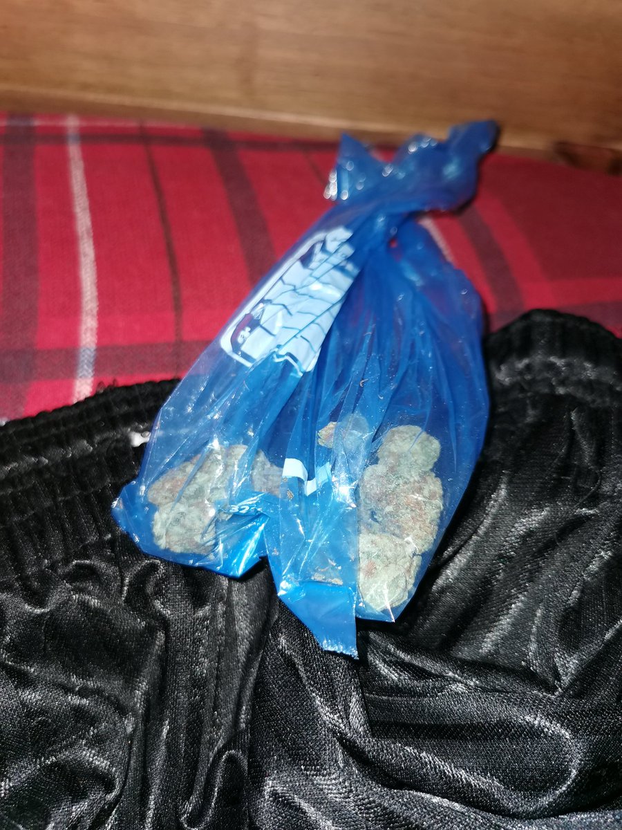 PDEzekiel's tweet photo. Early morning warrant for PD Gideon with the Prevent and Detect team. Cannabis located by the nose on legs! #thenoseknows #happyhandler @PSChrisPusey @ChSuptLeaper @dcp_pd @Duttyk9 @BWYK9 https://t.co/4SDfj44o6w