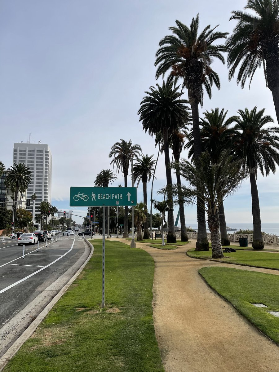 Airport2Park's tweet photo. @santamonicacity Not only are these new protected bicycle lanes at Santa Monica Palisades Park safer, they offer better views of the park and Pacific Ocean too. 
#SafeRoutesToParks #BikeSM #BikeLA #SaMoParks https://t.co/IVxXONOgxL
